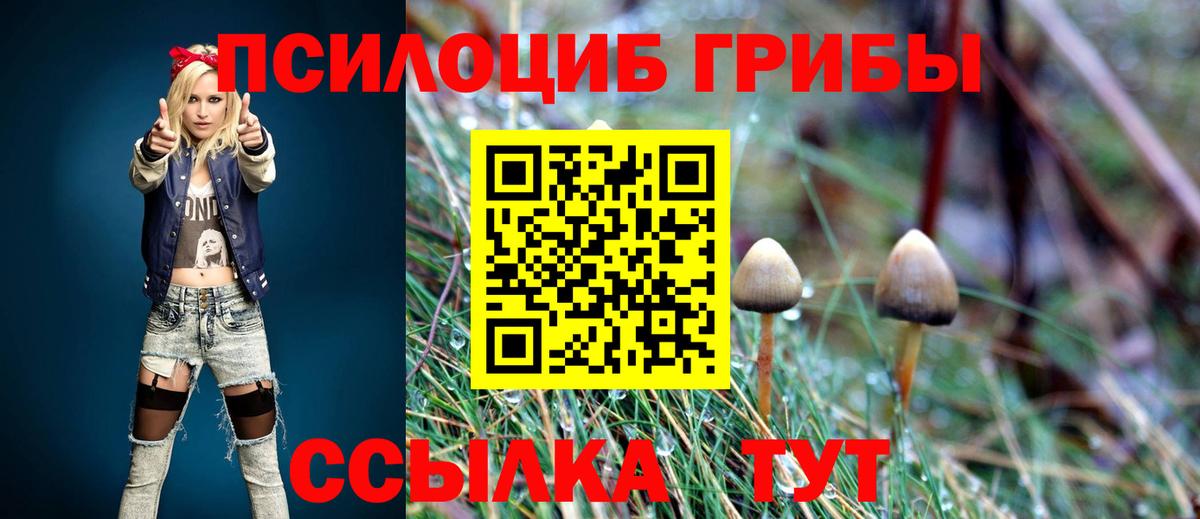 Кудрово  Галлюциногенные грибы Cubensis  Вход с VPN 