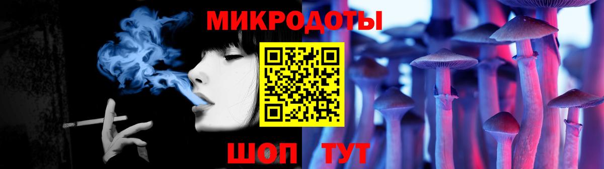 Псилоцибиновые грибы Psilocybe Кудрово
